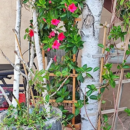 Appartamento Apartma Marija
