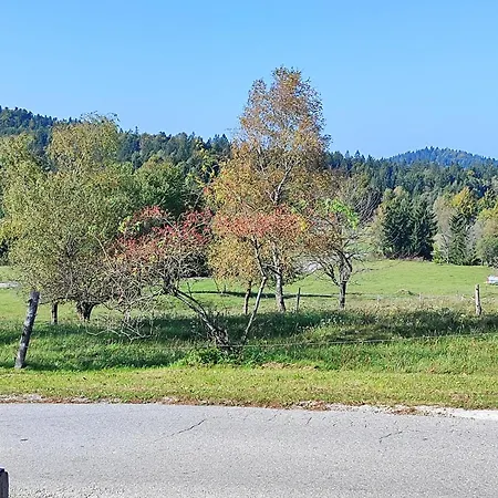 Apartma Marija Appartamento